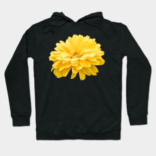 Yellow Dahlia Flower Summer Hoodie